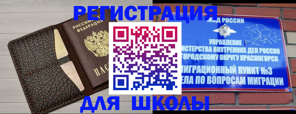 прописка в Истре